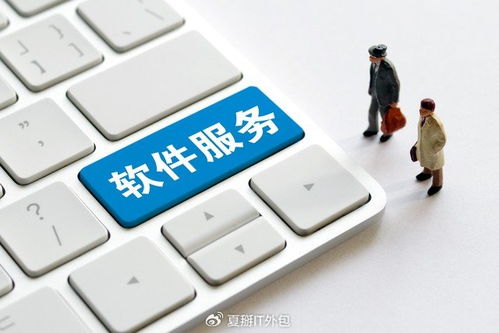 軟件開(kāi)發(fā)板塊震蕩走強(qiáng)，上海IT運(yùn)維外包迎發(fā)展新機(jī)遇